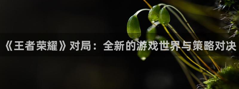 奇亿娱乐登录：《王者荣耀》对局：全新的游戏世界与策略对决