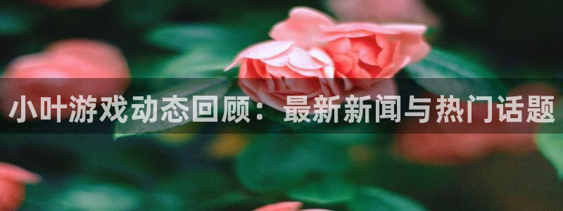 奇亿娱乐科技：小叶游戏动态回顾：最新新闻与热门话题