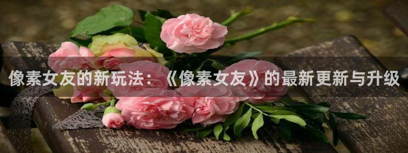 奇亿娱乐2登录：像素女友的新玩法：《像素女友》的最新更新与升