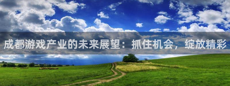 奇亿娱乐官方平台：成都游戏产业的未来展望：抓住机会，绽放精彩