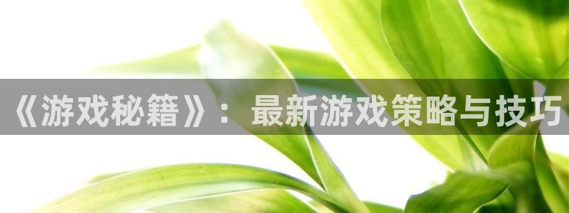 奇亿娱乐app：《游戏秘籍》：最新游戏策略与技巧