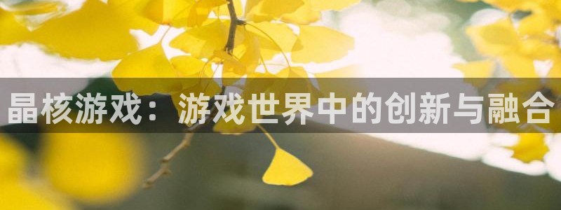 奇亿娱乐官方登录网址：晶核游戏：游戏世界中的创新与融合