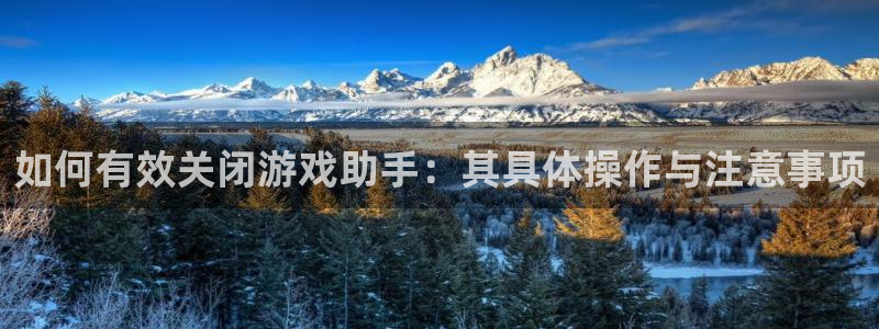 奇亿娱乐手机网页版登录：如何有效关闭游戏助手：其具体操作与注